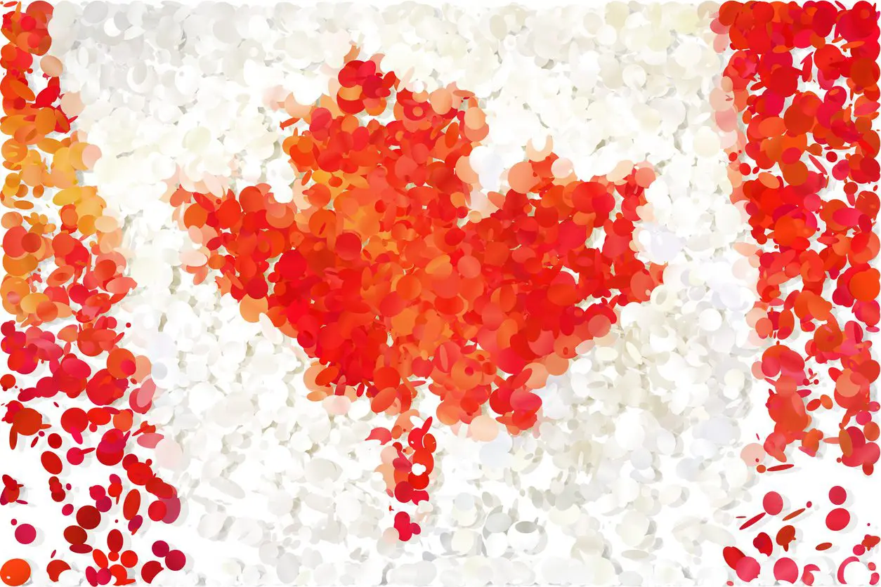 an art of a Canada flag using confetti