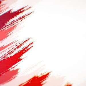 • BrightR Canadian flag paint brush