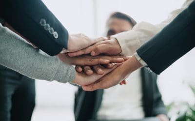 Global Team Harmony: Balancing Flexibility and Control in International Team Management